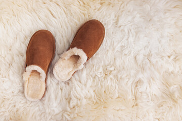 Cozy warm suede slippers on fur carpet