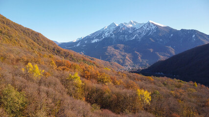 Aerial panorama with colourful autumn forest and beautiful mountains with snow peaks. Sochi, Krasnaya Polyana, Russia.