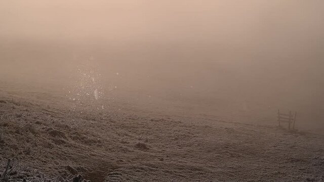 Glitzerende Schneekristalle in schwachem morgen Licht, Sonnenaufgang winterzauber