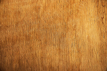 old wood background.  worn boards. fibrous wood surface. yellow plywood. papyrus leaf