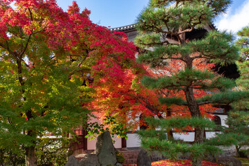 美しい京都の紅葉風景