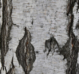 texture