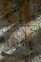 empty concrete wall