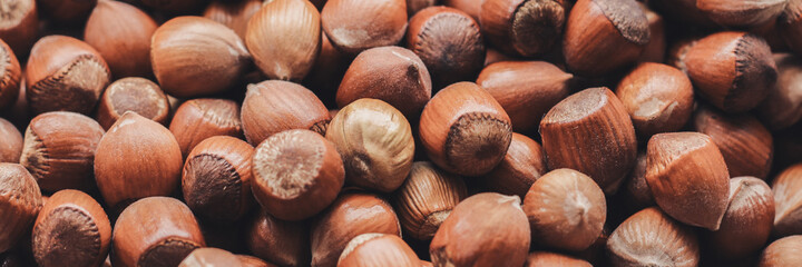 Hazelnuts. Food background, wallpaper. Stack of hazelnuts. Web banner for your design.