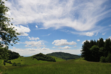 Nature reserve Badberg and Haselschacher Buck  in the Kaiserstuhl and Black Forest - NSG...