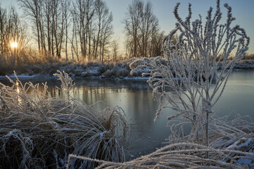 Breath of winter, first ice on the lake, dawn on a frosty morning with frost on the grass, close-up of frost, patterns on the first ice.