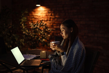 Focused charming woman drinking tea while working with laptop