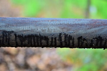 Fototapeta premium Close-up of a wooden black pasture fence against a blurred background