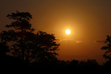Sonnenuntergang Krüger Park Südafrika / Sundown Kruger Park South Africa /