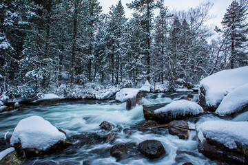 Fototapeta premium Winter river in Capcir, Cerdagne, Pyrenees, France