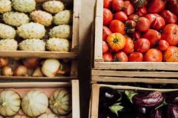 Des legumes bio en cagette 
