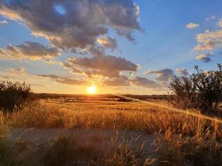 Un atardecer tostado.