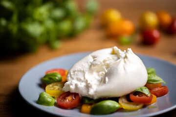 Burrata cheese on colourful tomato and basil salad