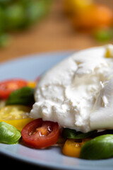 Burrata cheese on colourful tomato and basil salad