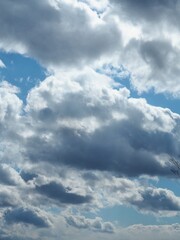 Obraz premium 青空と雲（縦画像） 