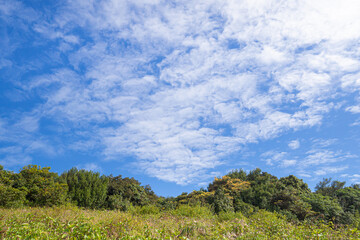 Beautiful scenic view of mountains and clouds against the sky in Kew Mae Pan nature trail at Doi Inthanon, Chiang Mai, Thailand. Famous tourist attractions of Thailand. Concept of holiday and travel