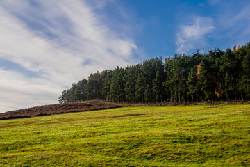 Obraz premium Beacon Hill Country Park - Leicestershire UK