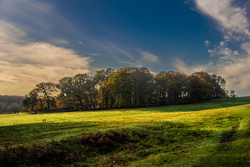 Beacon Hill Country Park - Leicestershire UK