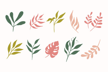 Various leaf branches hand drawn vector set. Colorful trendy illustration. All elements are isolated for your own design