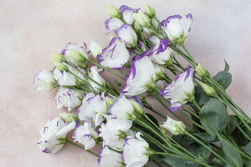 White with purple flowers and free space for text