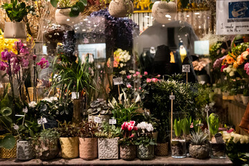 vitrine fleuriste © Sophie Animes