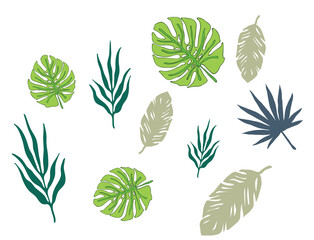 Green palm leaves illustrations on white background
