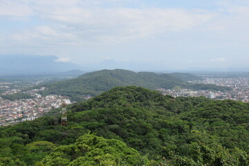 Fototapeta na wymiar Nature in Joinville