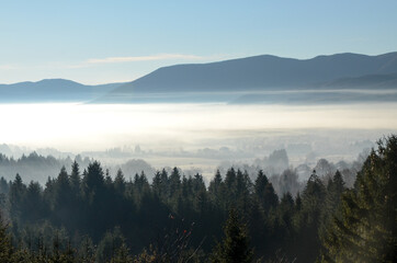 Fog in valley in winter morning. Mist among trees in forest. Foggy day in mountains. Landscape.