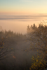 sunrise over the woods