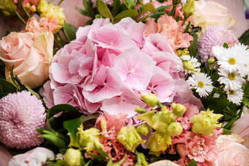 bouquet of flowers in shades of pink, petals, hydrangeas