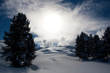 Snow powder with skiis traces. Mountains ideal for freeride. Sunny winter day. Copy space