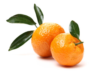 tangerine orange on white background 