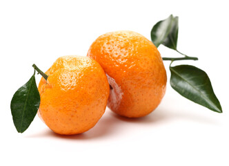tangerine orange on white background 