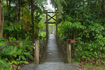 Obraz premium Ponte Pênsil na Reserva Natural Salto Morato, Guaraqueçaba, Paraná, Brasil. Sul