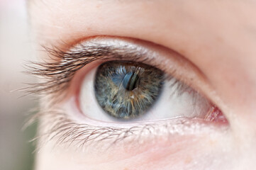 Fototapeta premium Human eye close up. macro photo
