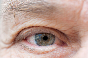 Fototapeta premium Human eye close up. macro photo