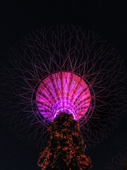 Cyborg trees in Singapore
