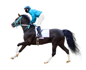 horse jockey jump isolated on white background of running horses