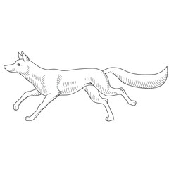 Obraz premium Running fox. Heraldry. Hand drawn vector illustration for coloring books and pages.