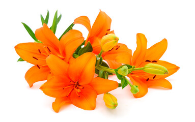 Fototapeta premium Bouquet of orange lilies.