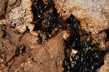 Sedna Gold - natural polished granite stone slab, texture for perfect interior, background or other design project.