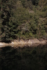 Lake in the interior of Basque Country