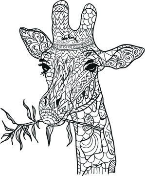 hand drawn illustration with giraffe. Coloring anti stress black and white.