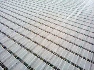 aerial view of a modern agricultural greenhouse