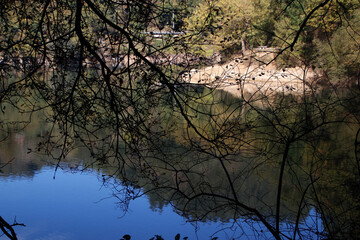 Lake in the interior of Basque Country