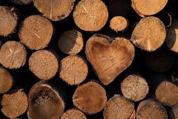 Fichten Herz Form Symbol Picea Stämme Baumstapel Stoß Holz Wald Liebe Waldarbeiter Motersäge...