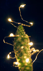 small austere illuminated christmas tree