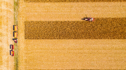 Above view on combine, harvester machine, harvest ripe maize