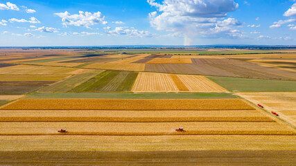 Above view on two combines, harvester machines, harvest ripe maize and blue sky with white clouds
