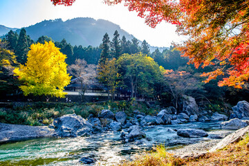 【東京都】御岳渓谷の渓流と紅葉